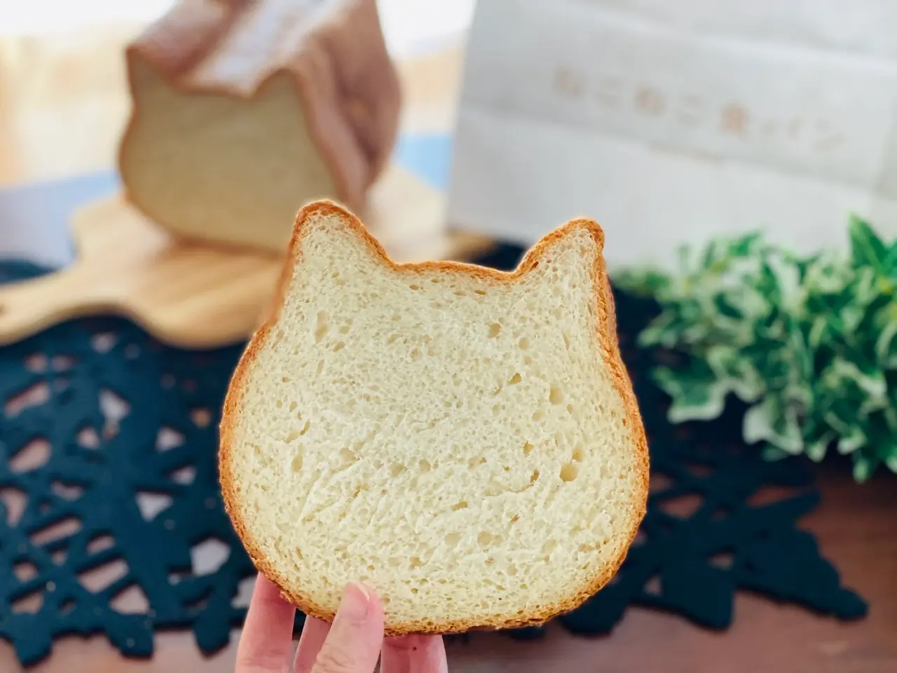 【オンライン販売開始!】可愛さ満点で売切れ続出!念願の《ねこねこ食パン》をGET♡_4