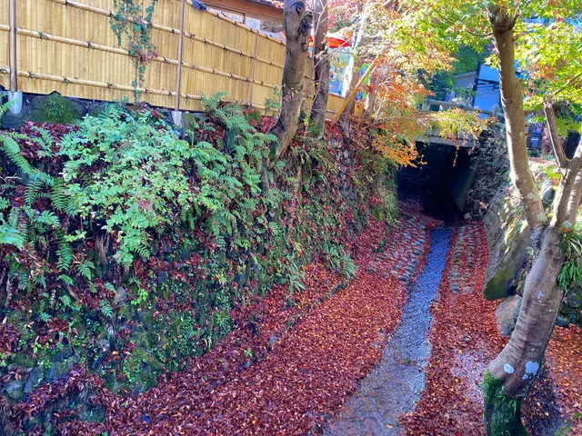 グルメも景色も盛り沢山、この時期ぴったり【日帰り高尾山】へ!_1