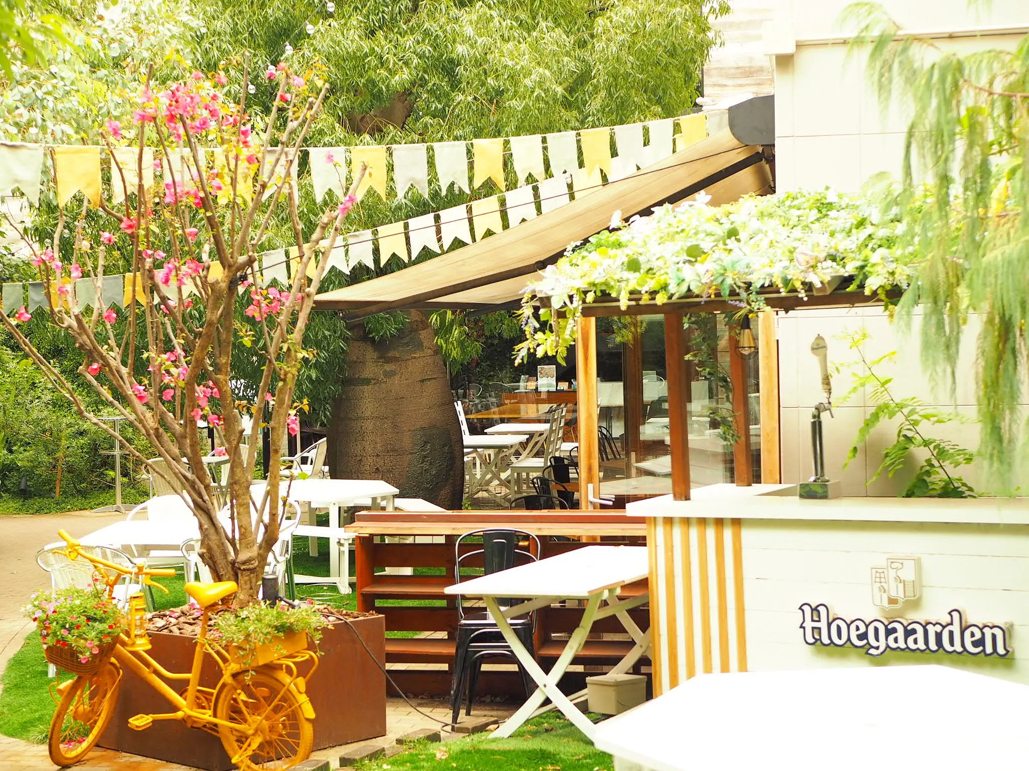 代々木VILLAGE【code kurkku】贅沢でゆるやかな時間。優しいイタリアンランチ♡_3