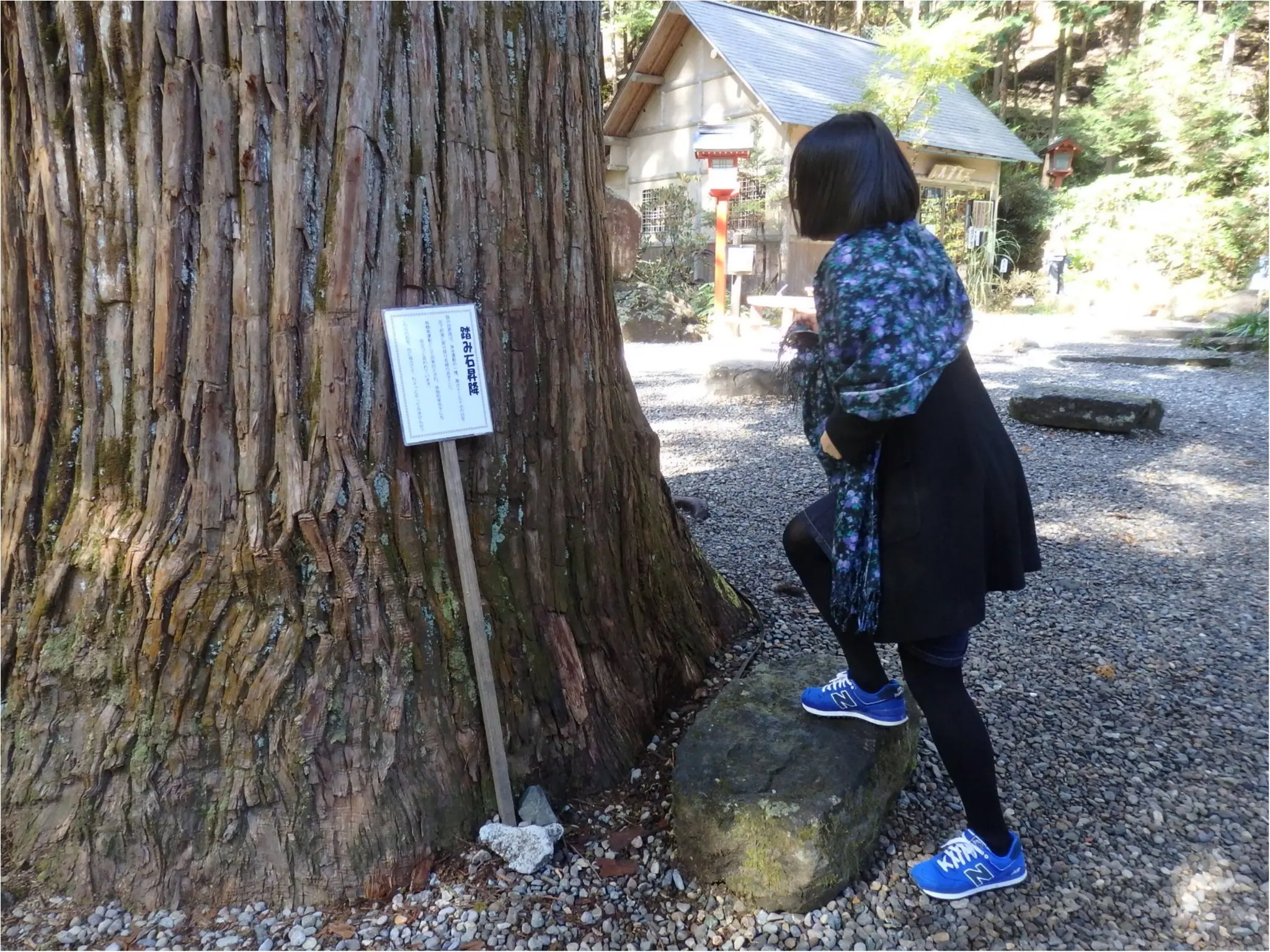 【知らなかった!】日本一楽しめる神社へ潜入してみた_49