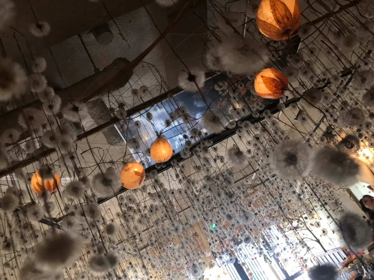 【金沢】北陸の魅力発信!インスタ映え間違いなしの幻想的空間【HIMITO】_4