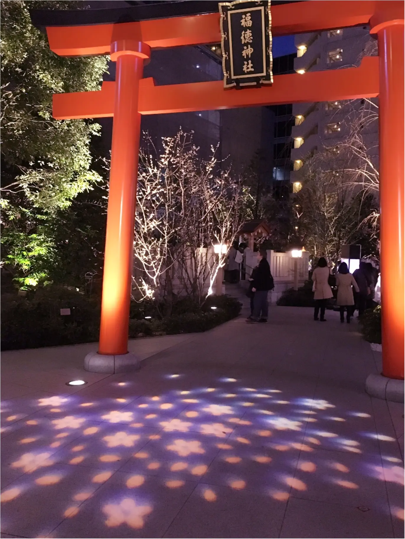 【日本橋桜フェスティバル2017】の【桜色ライトアップ】で一足早くお花見気分(*°○°*)♡_5