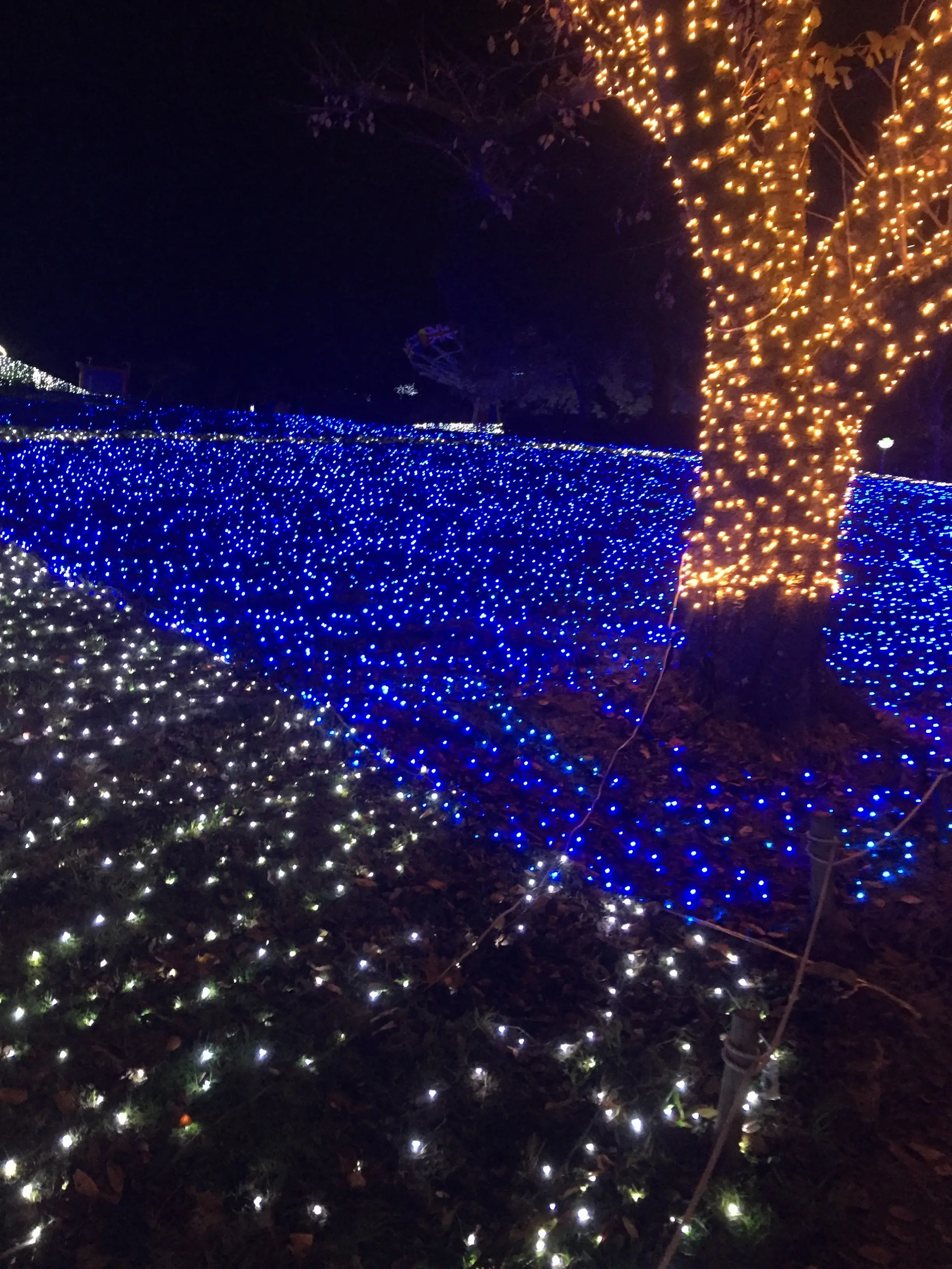 イルミネーションを思う存分満喫できる!相模湖イルミリオンへGO!_3