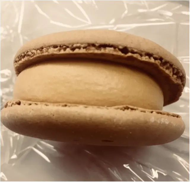 トレンド★話題のセブンイレブンのマカロンアイスを食べてみた!_6
