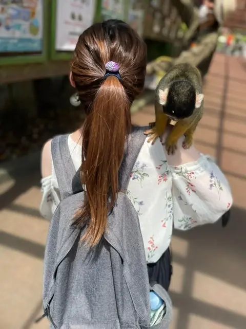 リスザル