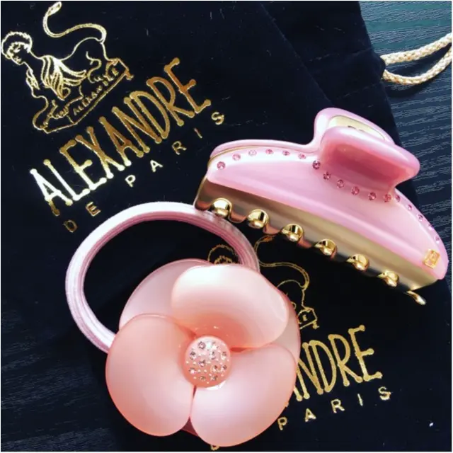 ALEXANDRE DE PARISのヘアアクセ♡トレンドカラーを追加♪♪_1