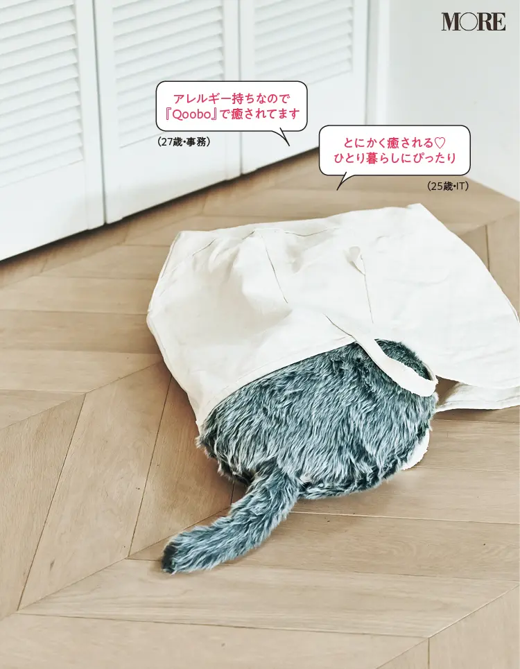 Qoobo