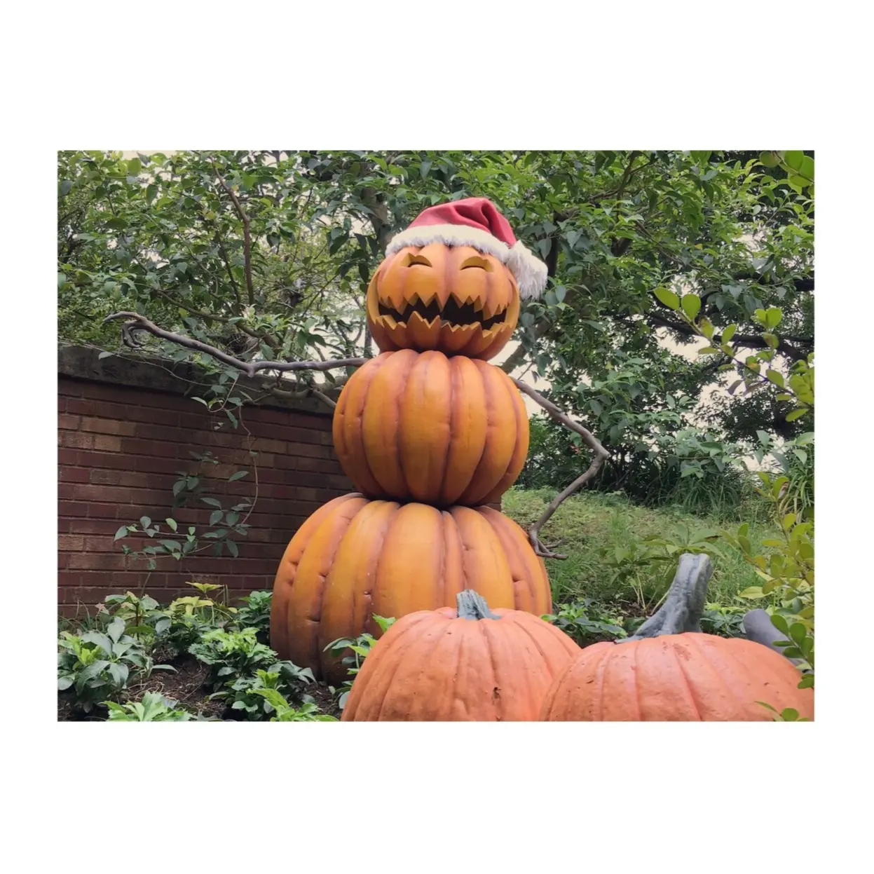 《ハロウィンシーズン到来★》【TDL】で思わずパケ買いしたオススメのお土産お菓子2選❤️_1