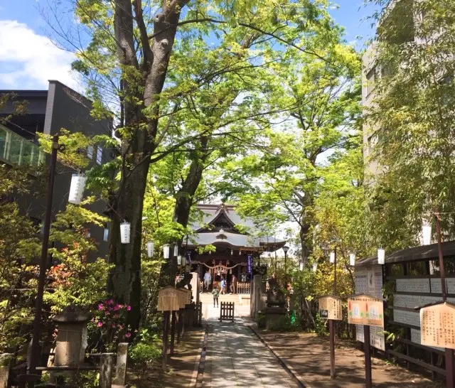 令和もよろしくお願いします✨_4