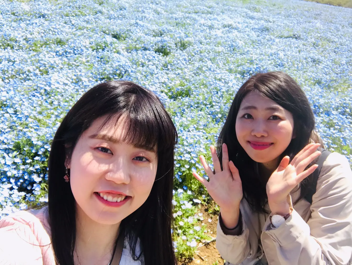 【GW】東京からも近い!!ひたち海浜公園ネモフィラのバスツアーに行ってきました♡_8