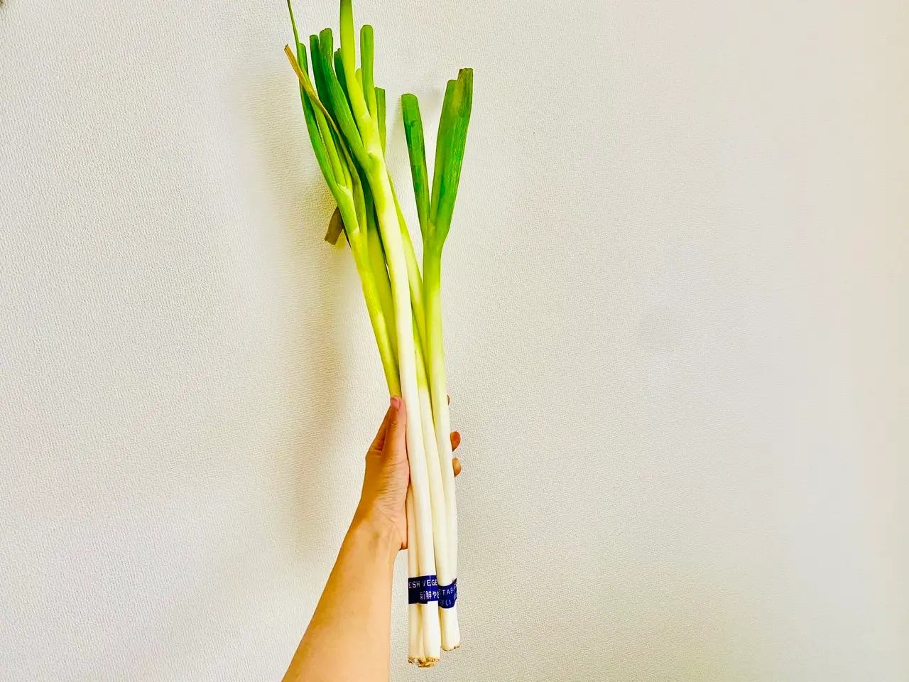 【作り置きおかず】お弁当に大活躍!1つの食材をアレンジして4品★使い切りレシピをご紹介♡〜第23弾〜_2
