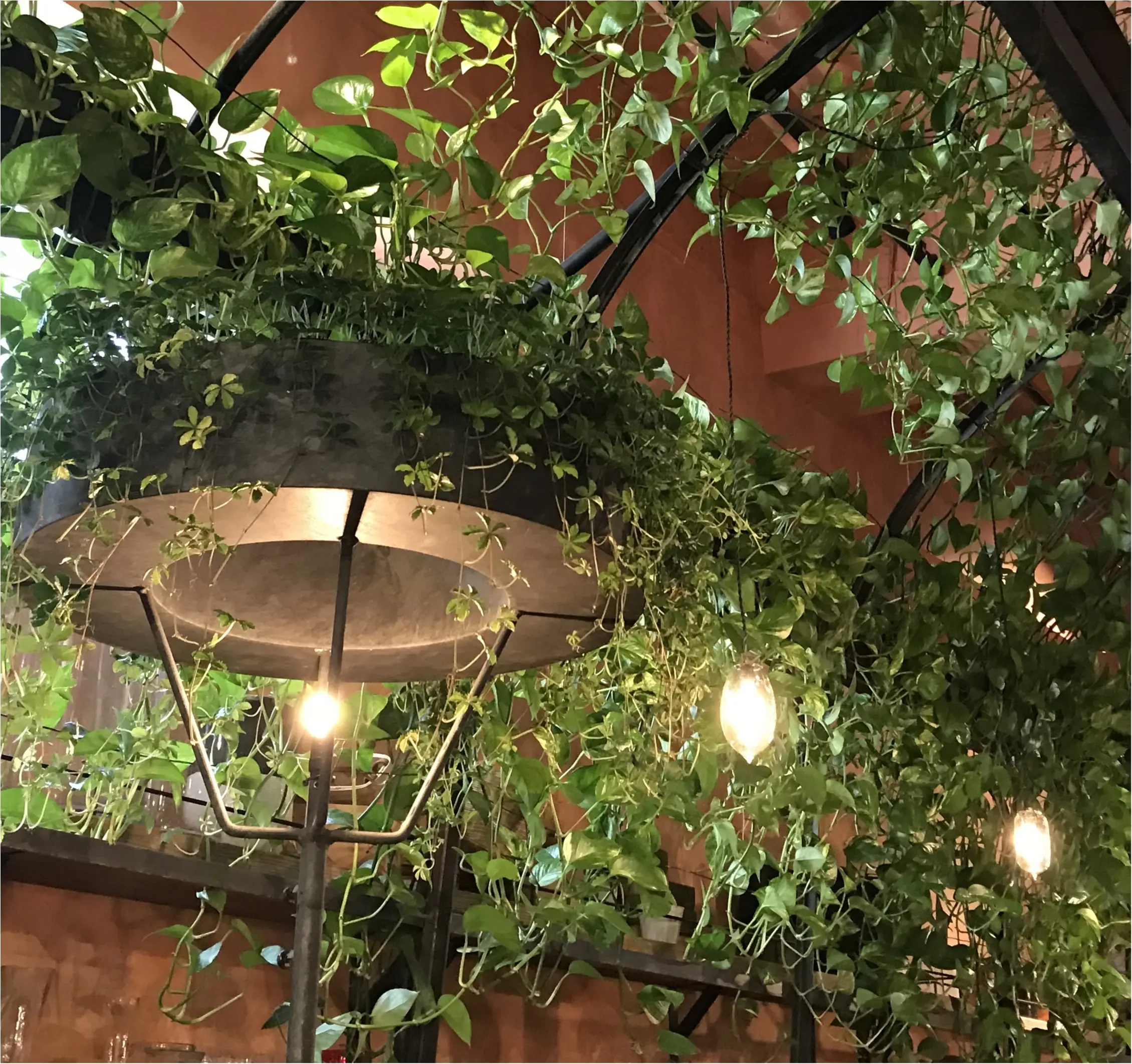 【FOOD】~Aoyama Flower Market~お花に囲まれて食べるご飯は格別♡季節ごとに何回でも行きたくなる素敵なカフェ♡今のお花は?_4