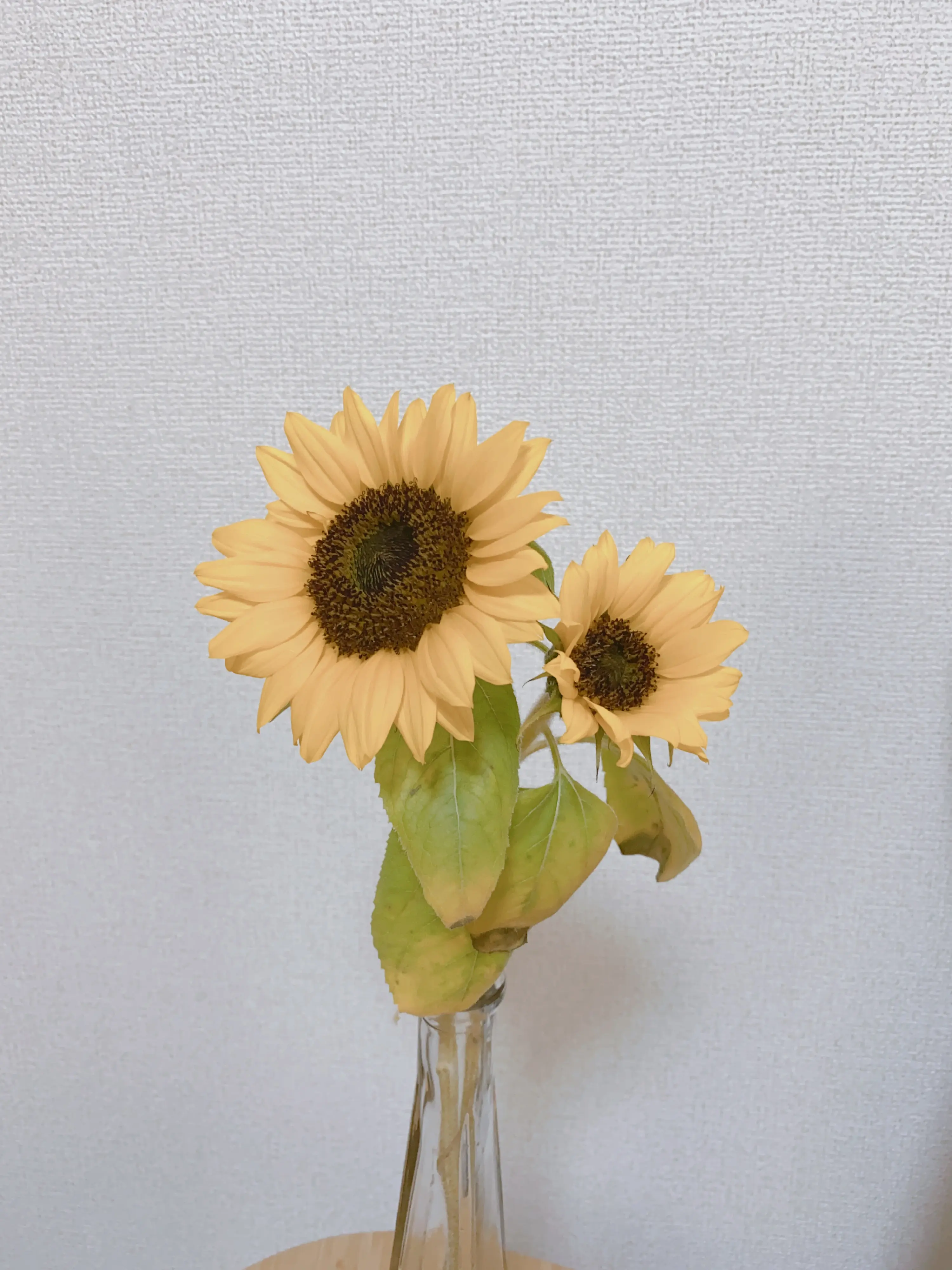 《今週のお花》はこれでした♡_2