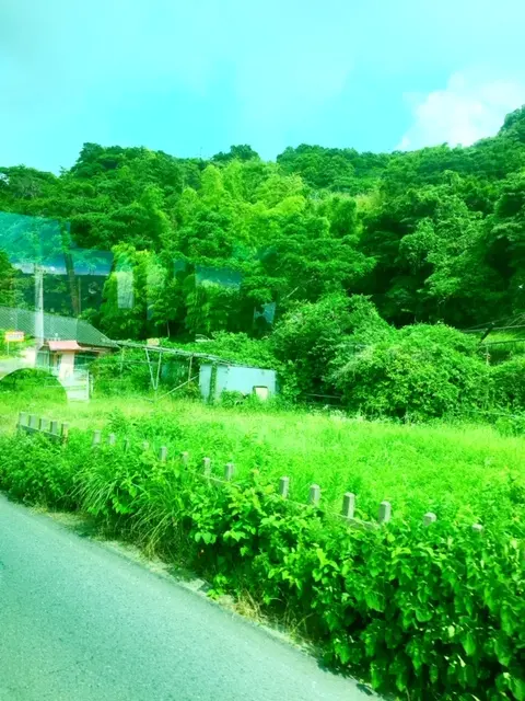夏休み感!_1