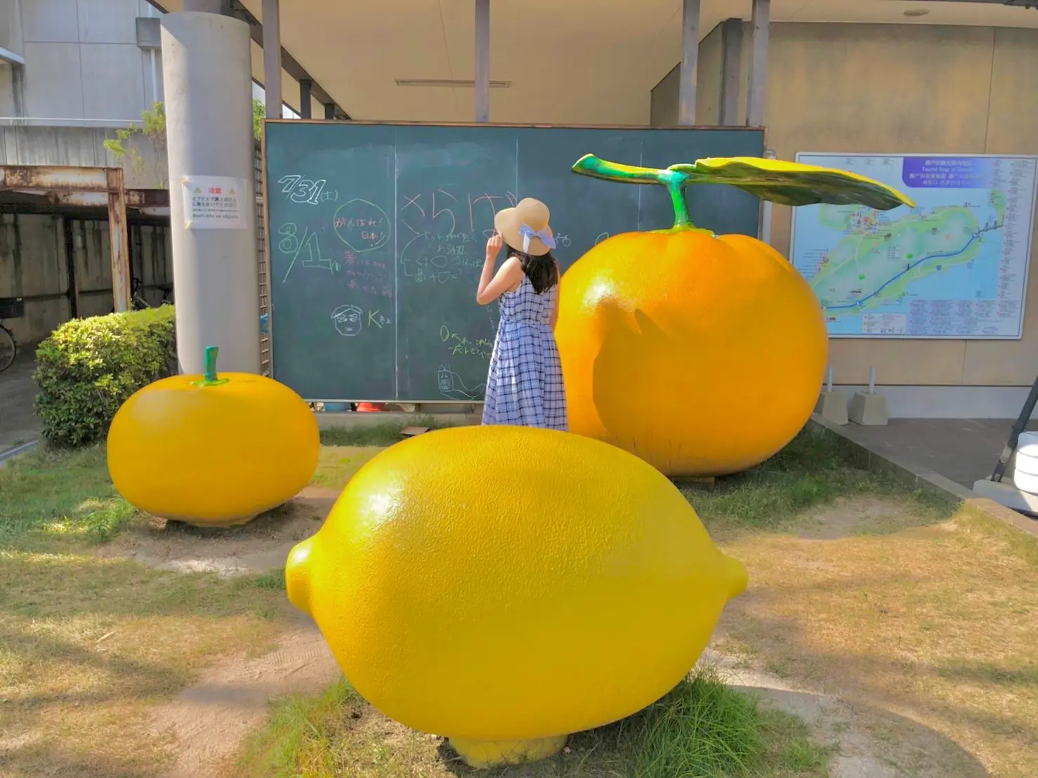 【女子旅でいくならここ】可愛すぎるネコとレモンの街、尾道 前編_3