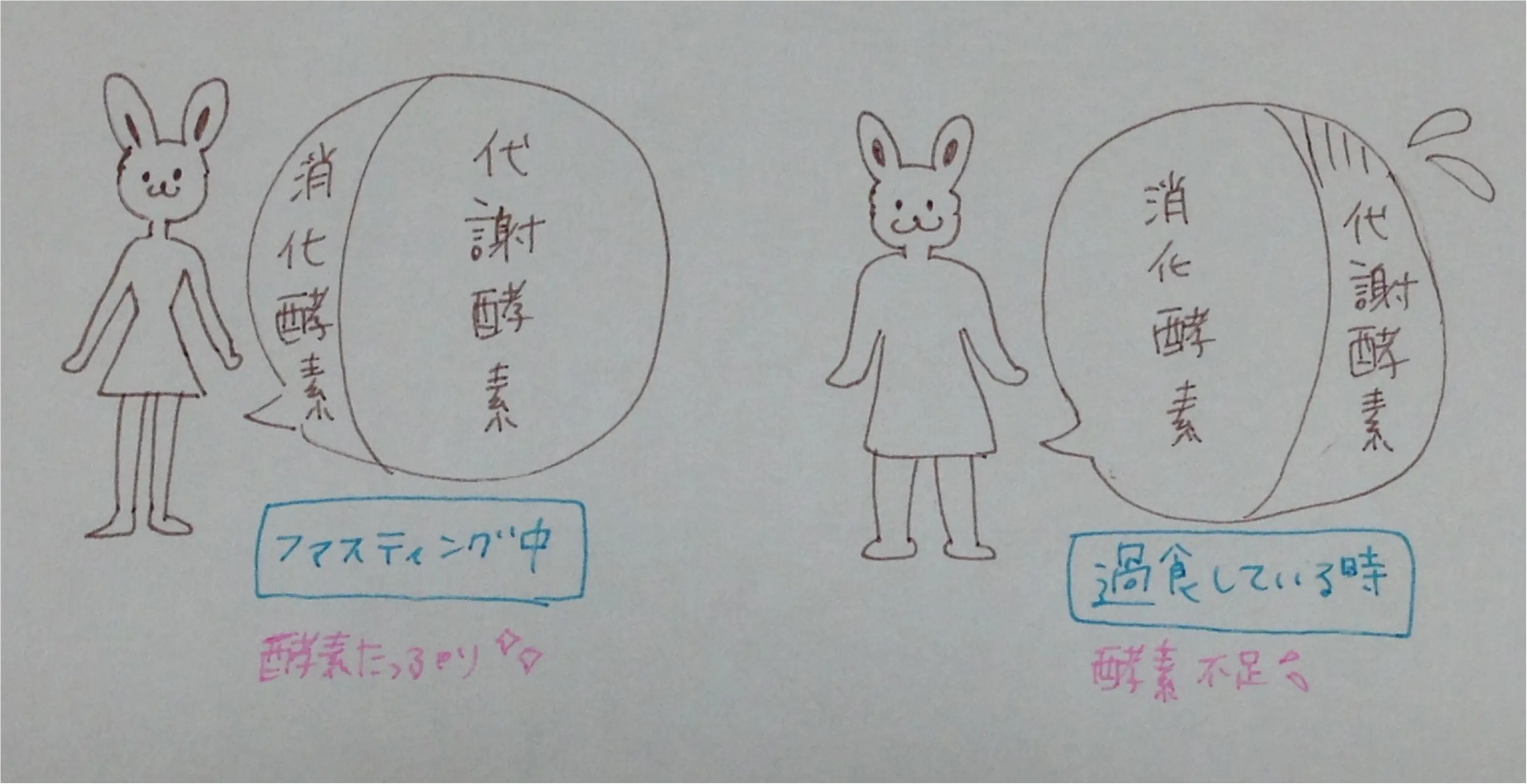 夏本番Σd(・ω・*)まだ間に合う‼️ヤセるだけじゃない✨知れば知るほどやりたくなる!【ファスティング】のひ・み・つ♡_1