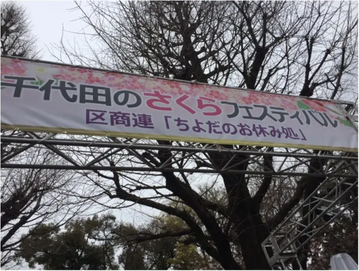 【4/6まで】都内でも七分咲き♪♪*千代田のさくらフェスティバル*に行ってきました✨✨_8