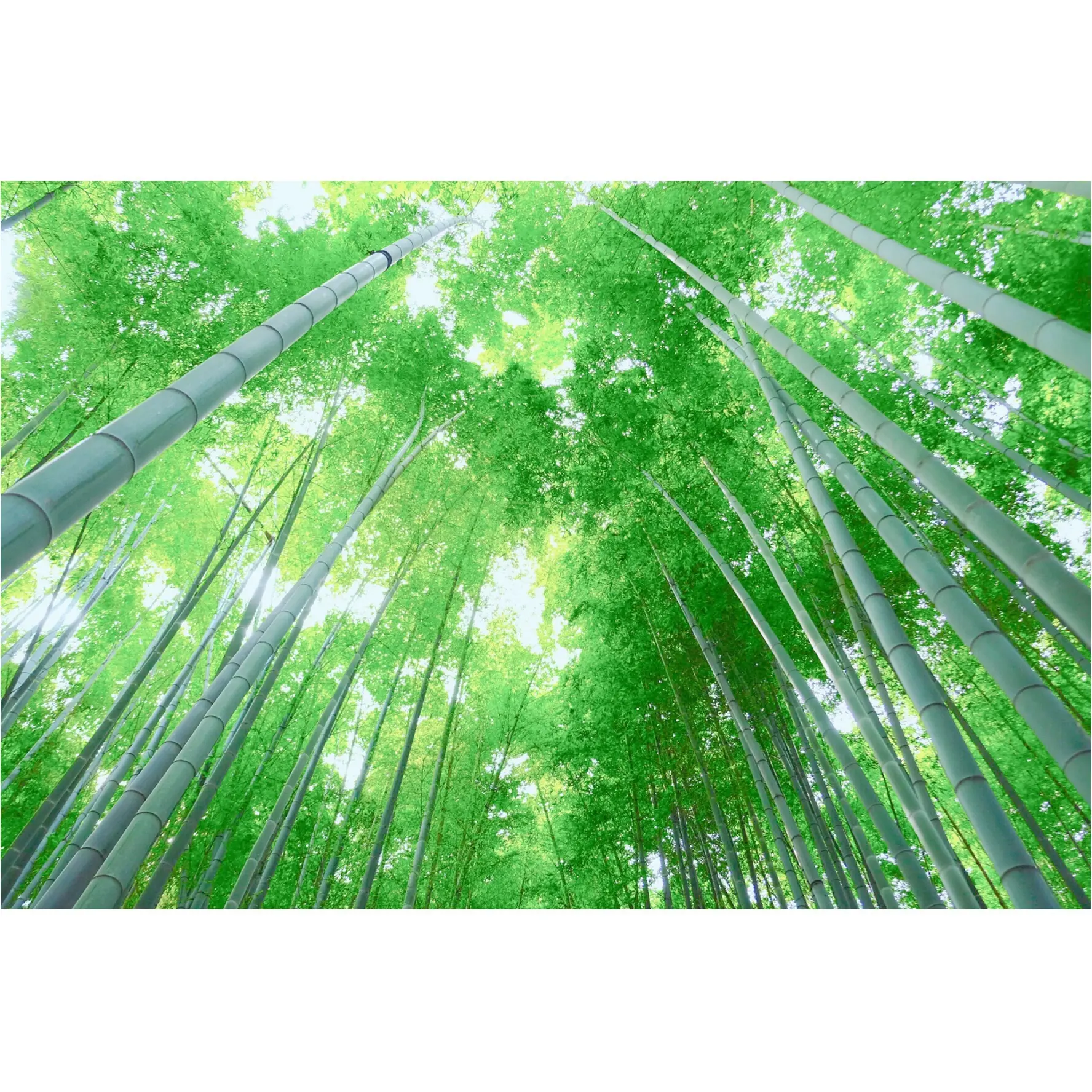 …ஐ 湘南育ちプレゼンツ☺︎♪【夏の鎌倉】の巡りプラン☺︎♪ ஐ¨_4