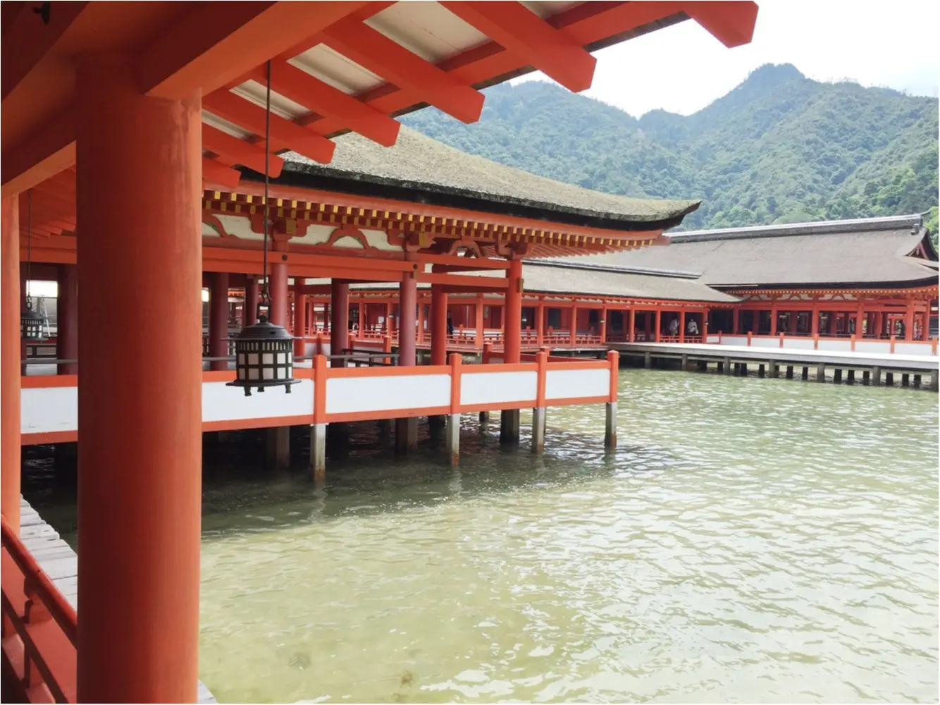 【travel】広島県宮島の過ごし方【この夏にオススメ】_4