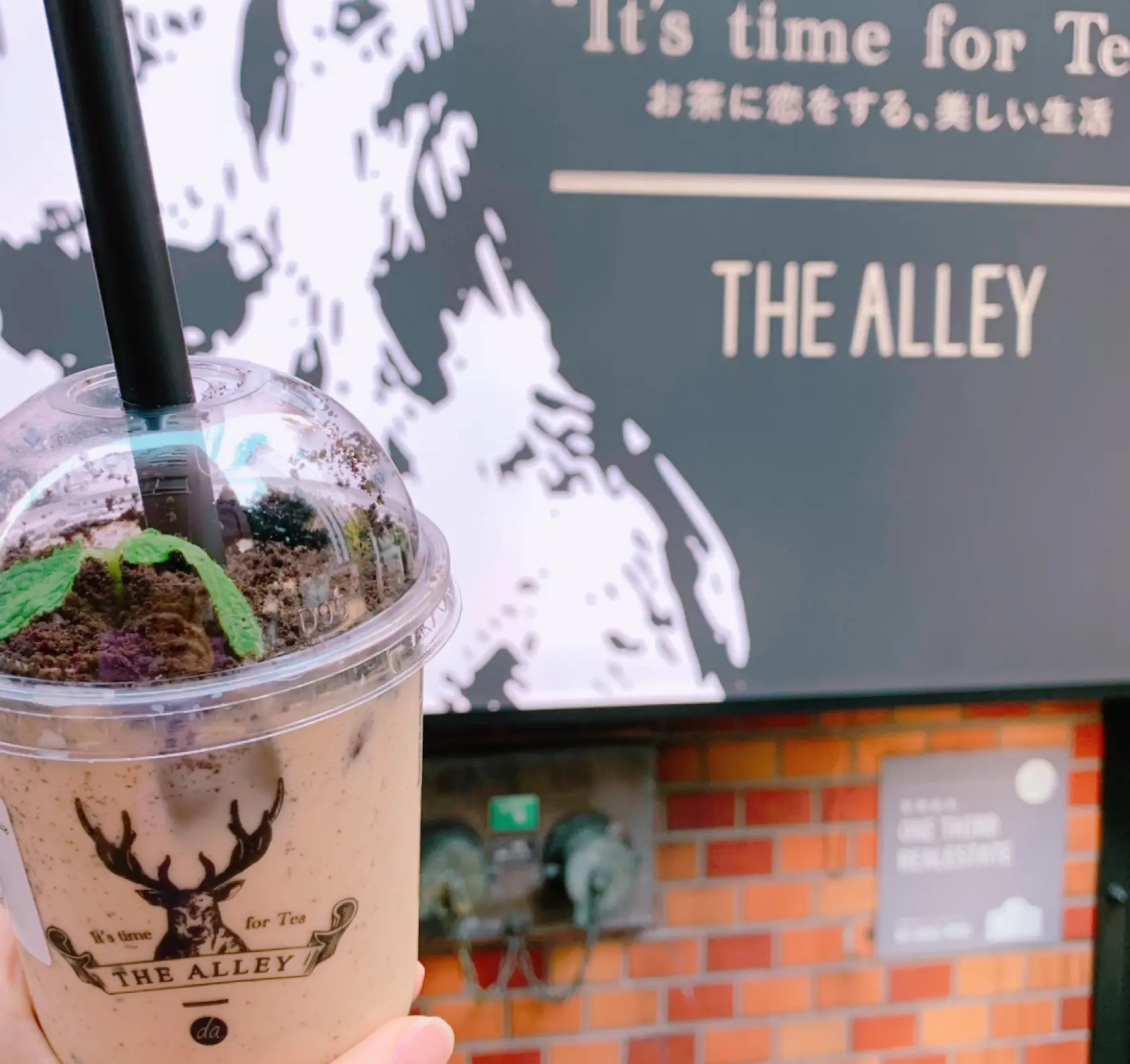 《写真映え❤️》【THE ALLEY(ジアレイ)】の盆栽タピオカミルクティーがおいしい☻_1