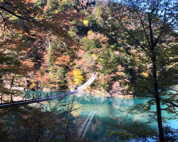 【#静岡】《夢の吊り橋×秋・紅葉》美しすぎるミルキーブルーの湖と紅葉のコントラストにうっとり♡湖上の吊り橋で空中散歩気分˚✧₊_5