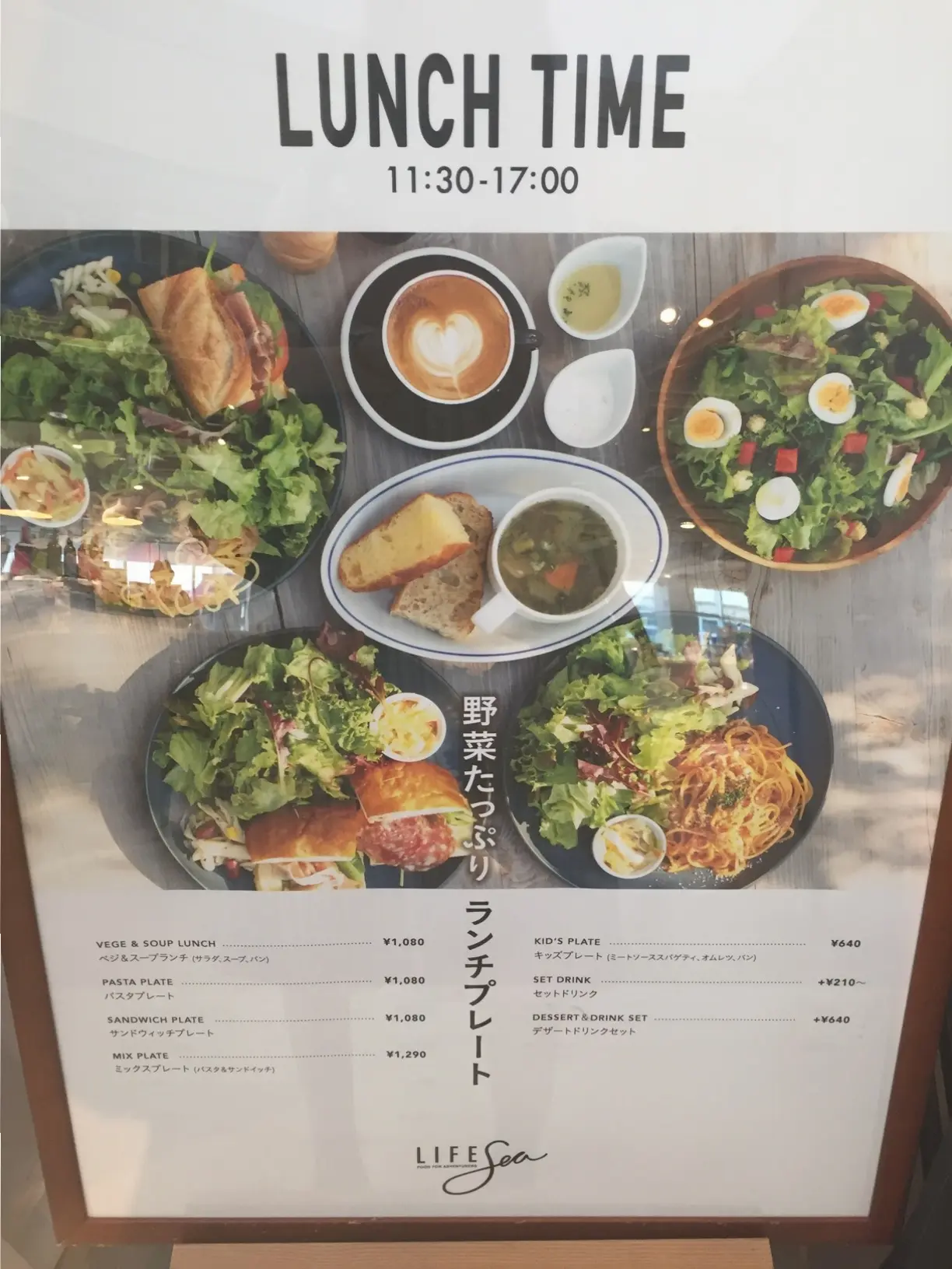 湘南のお洒落スポット『蔦屋書店』は、湘南らしいライフスタイルを提案する文化複合施設✨≪samenyan≫_8