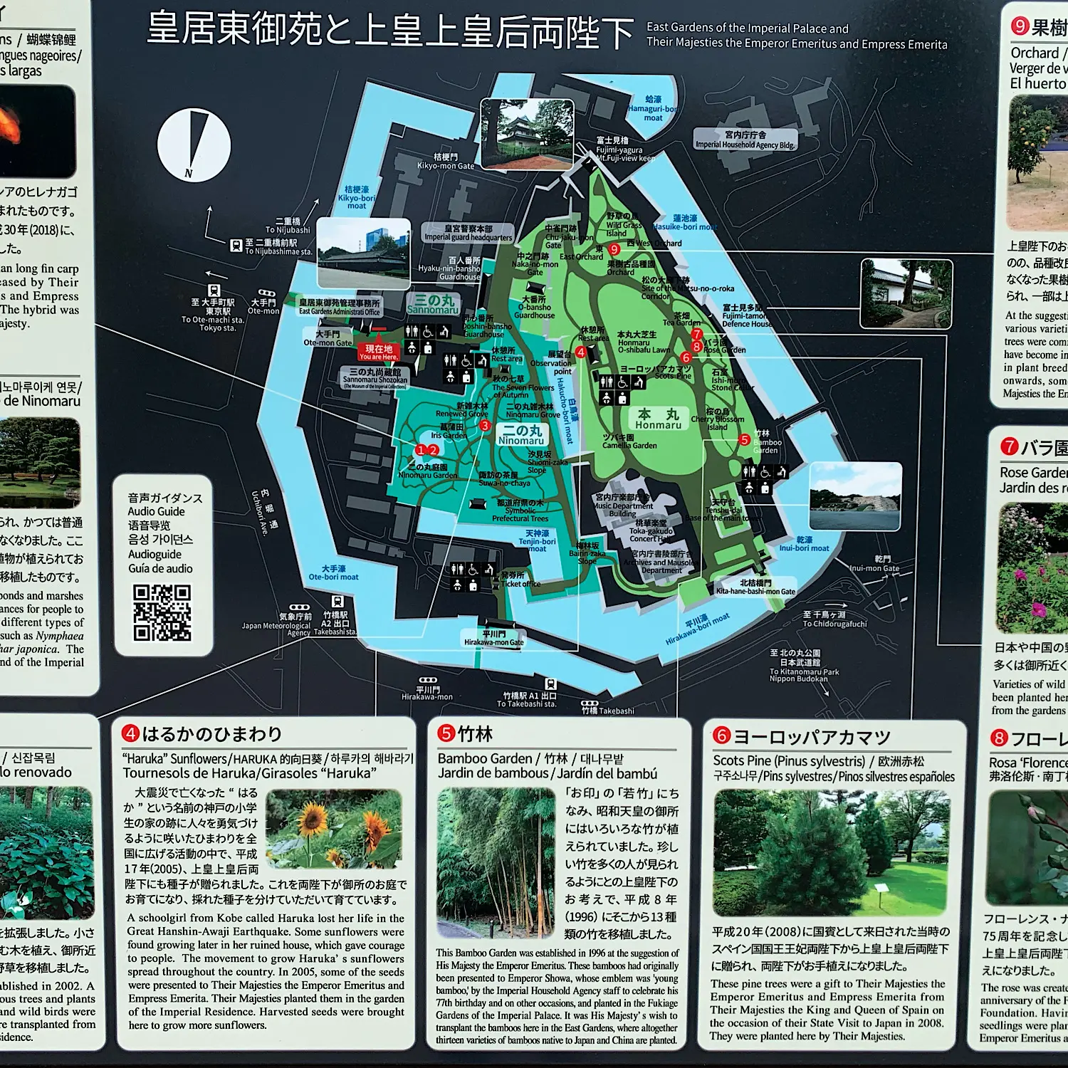 皇居内お散歩~オススメ散策スポット~_2