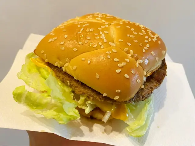 マクドナルドハンバーガー　新作ハンバーガー