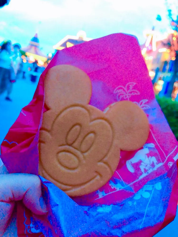 2020年7月から再開した東京ディズニーリゾートを徹底レポート!_21