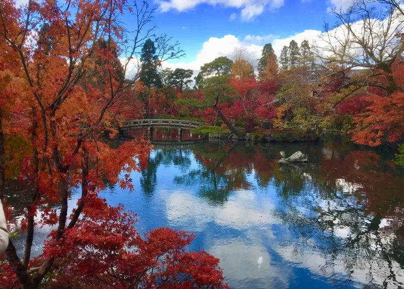 女子旅におすすめ 京都行くなら紅葉 フォトジェニックな穴場スポット紹介６選 Moreインフルエンサーズブログ Daily More