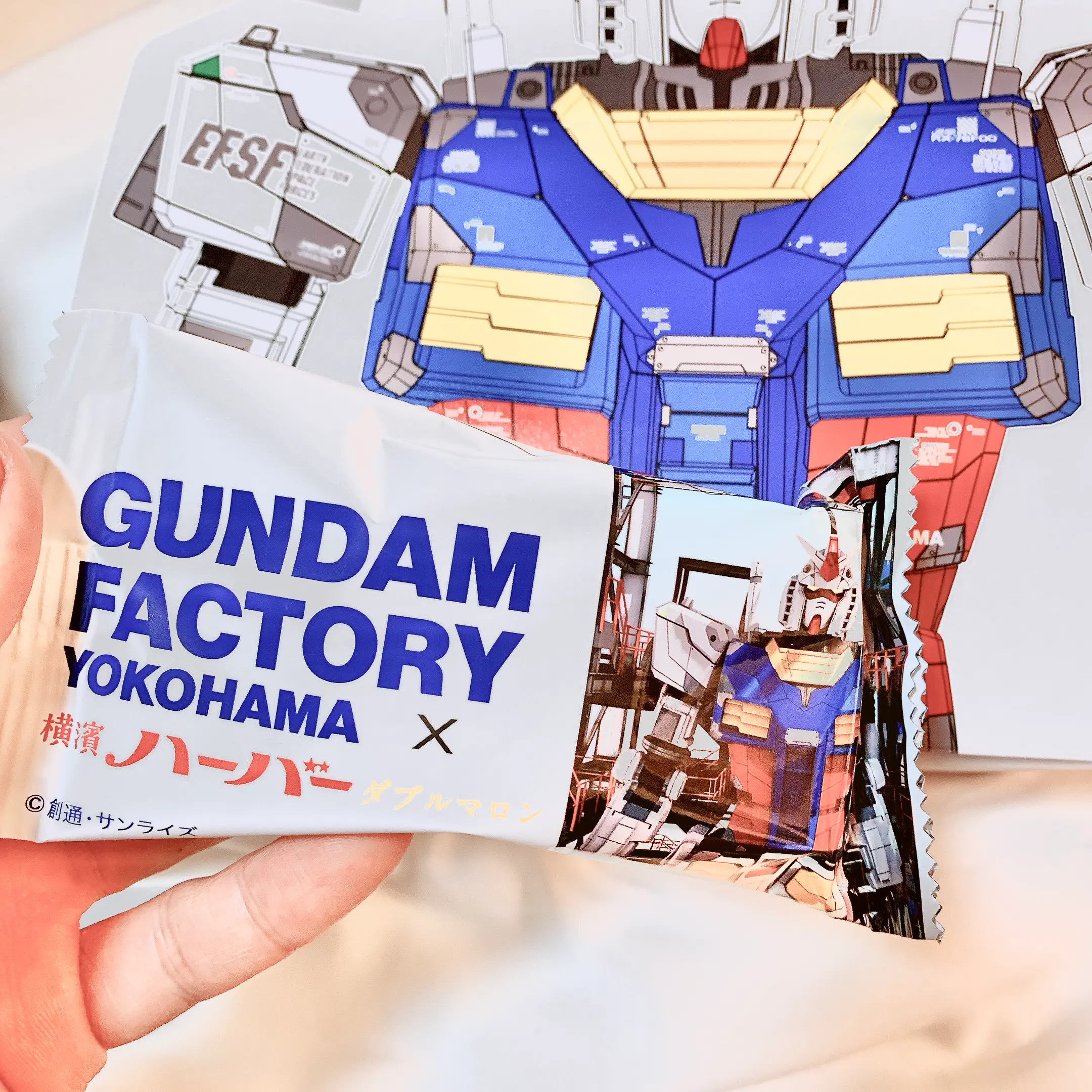 新横浜で買えるお土産2選★ありあけハーバーが「横濱ハーバー」になってガンダムとコラボ!?一度食べると忘れられない「クルミッ子」_2