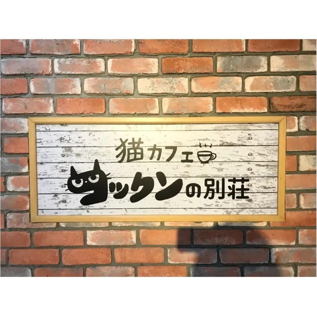 【空前の猫ブーム】首都圏内オススメの猫カフェ教えちゃいます!@横浜店レポ_1