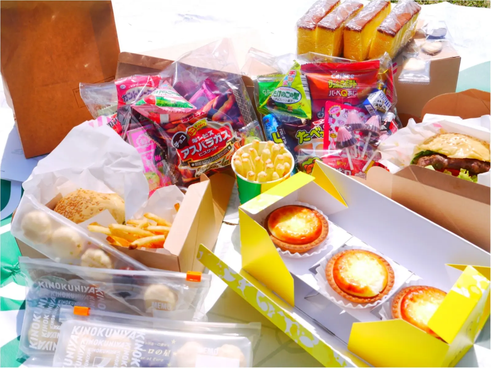 【おでかけ】春のレジャーは手軽に楽しめる『ピクニック』で決まり!GWにもおすすめです◎_1