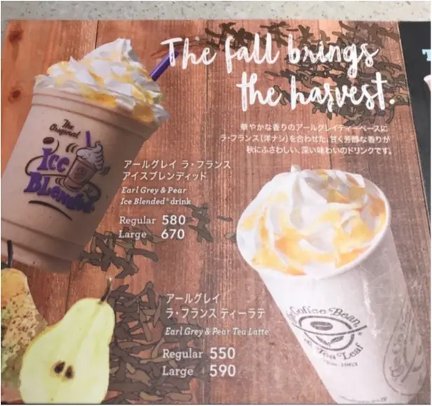 いやー、たまらん♡仕事終わりの女子会。美味しいドリンク×お喋りで疲れもふっとぶ❤️_5