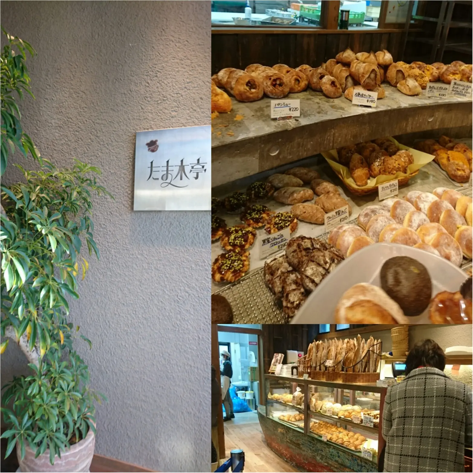 パン激戦区で大人気のお店、たまき亭♡_3