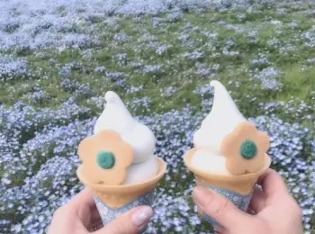 私たちをキュンとさせる インスタ映えフード まとめ ライフスタイル まとめ Daily More