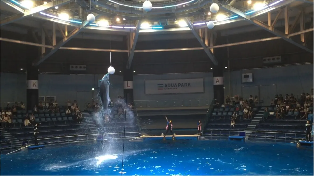 昼と夜でイルカショーが変わる!?光・音・映像と海の生き物のコラボレーション ✨《*アクアパーク品川*》の魅力☆★ _16