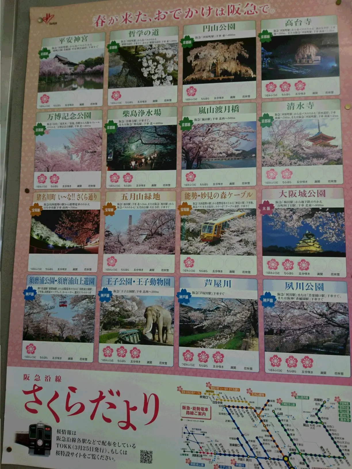 ご当地・穴場お花見スポット<大阪・池田>_1