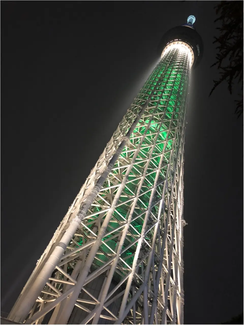 東京スカイツリーに登らずとも楽しめる!ピンクのお花のツリーが可愛いイルミネーション!!_2
