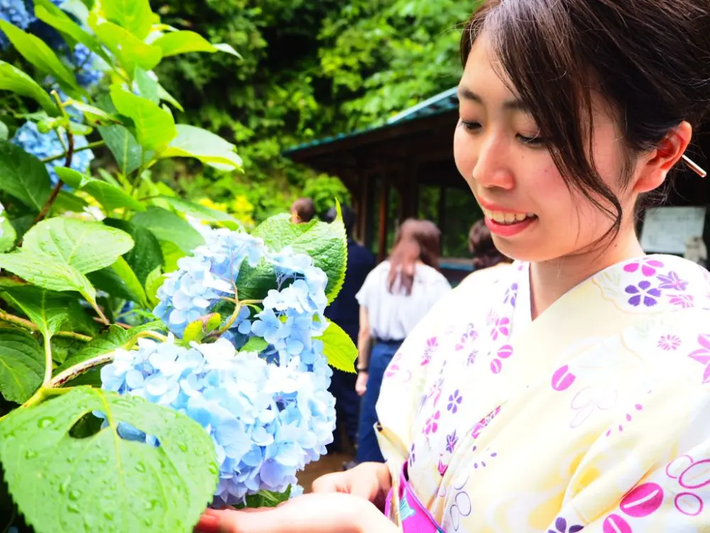 鎌倉の紫陽花名所特集 - 人気のあじさい寺「長谷寺」「名月院」などおすすめスポット_36
