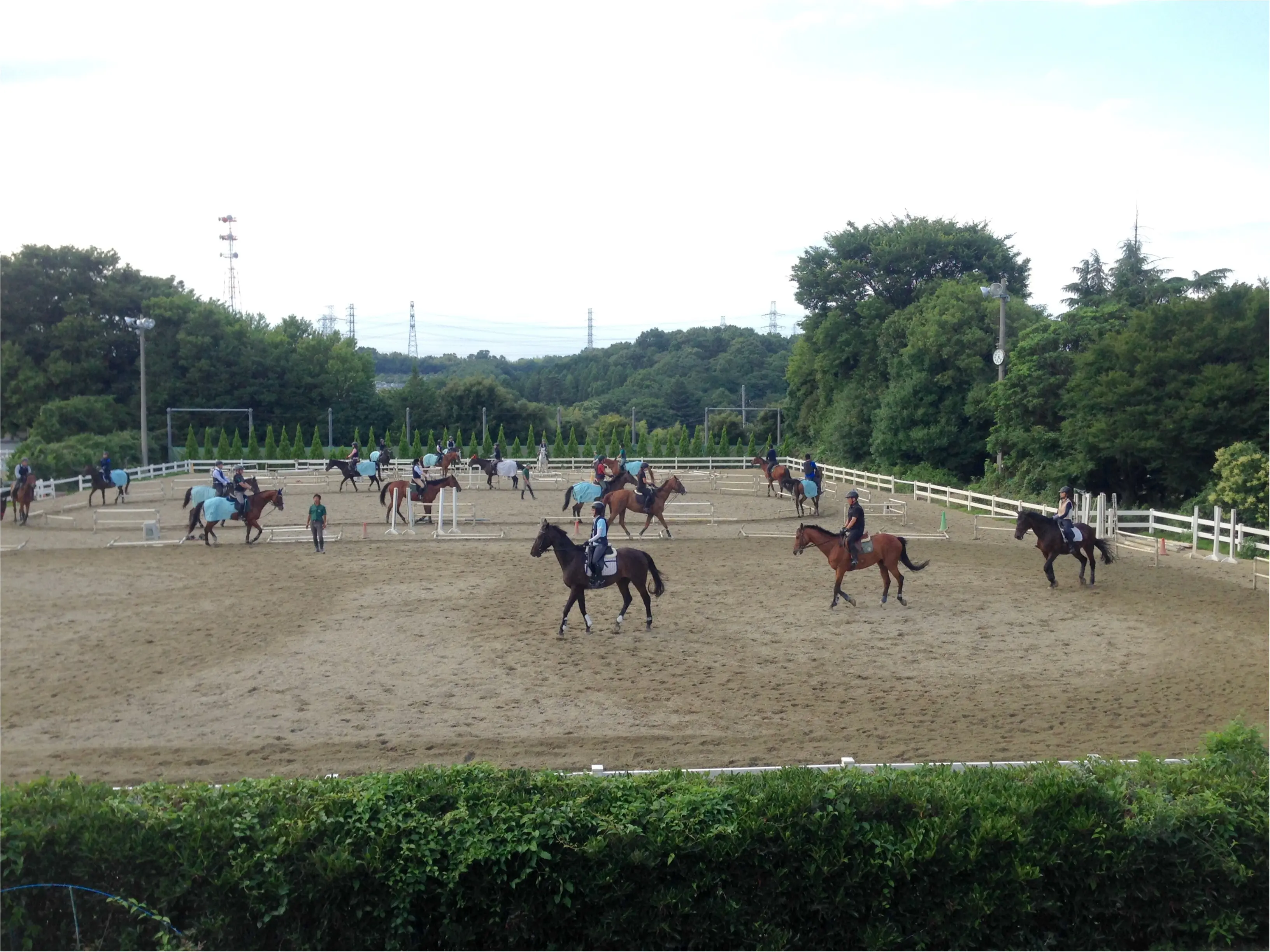 馬にアモーレ!!ステキな週末★都内で乗馬したことありますか?\(//∇//)\_5