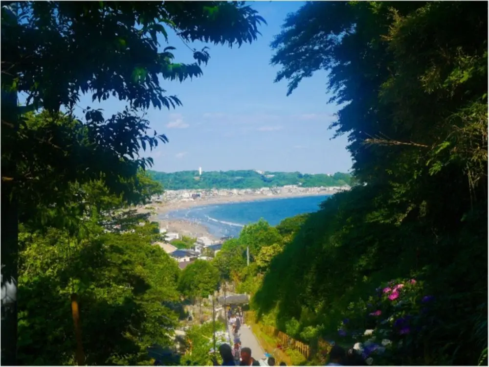 鎌倉の紫陽花名所特集 - 人気のあじさい寺「長谷寺」「名月院」などおすすめスポット_8