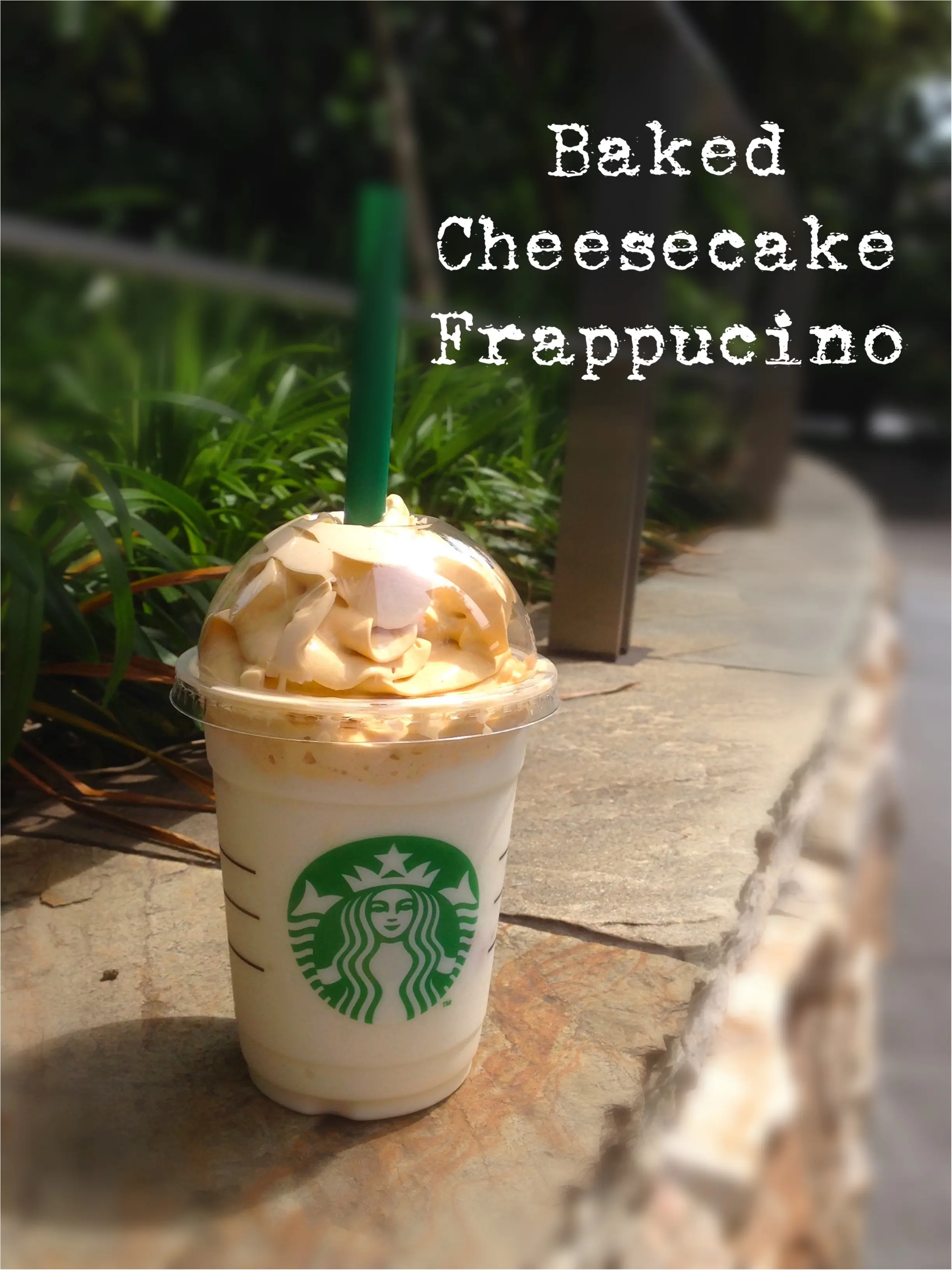 グラハムビスケット入り✨ザクザク食感が楽しめるBaked Cheesacake Frappucino( ´艸`)_1
