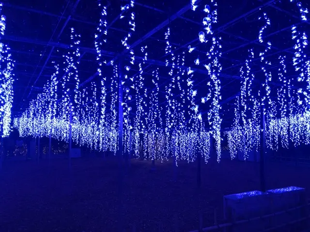 日本三大イルミネーション♪ あしかがフラワーパークに行ってきた♡_1
