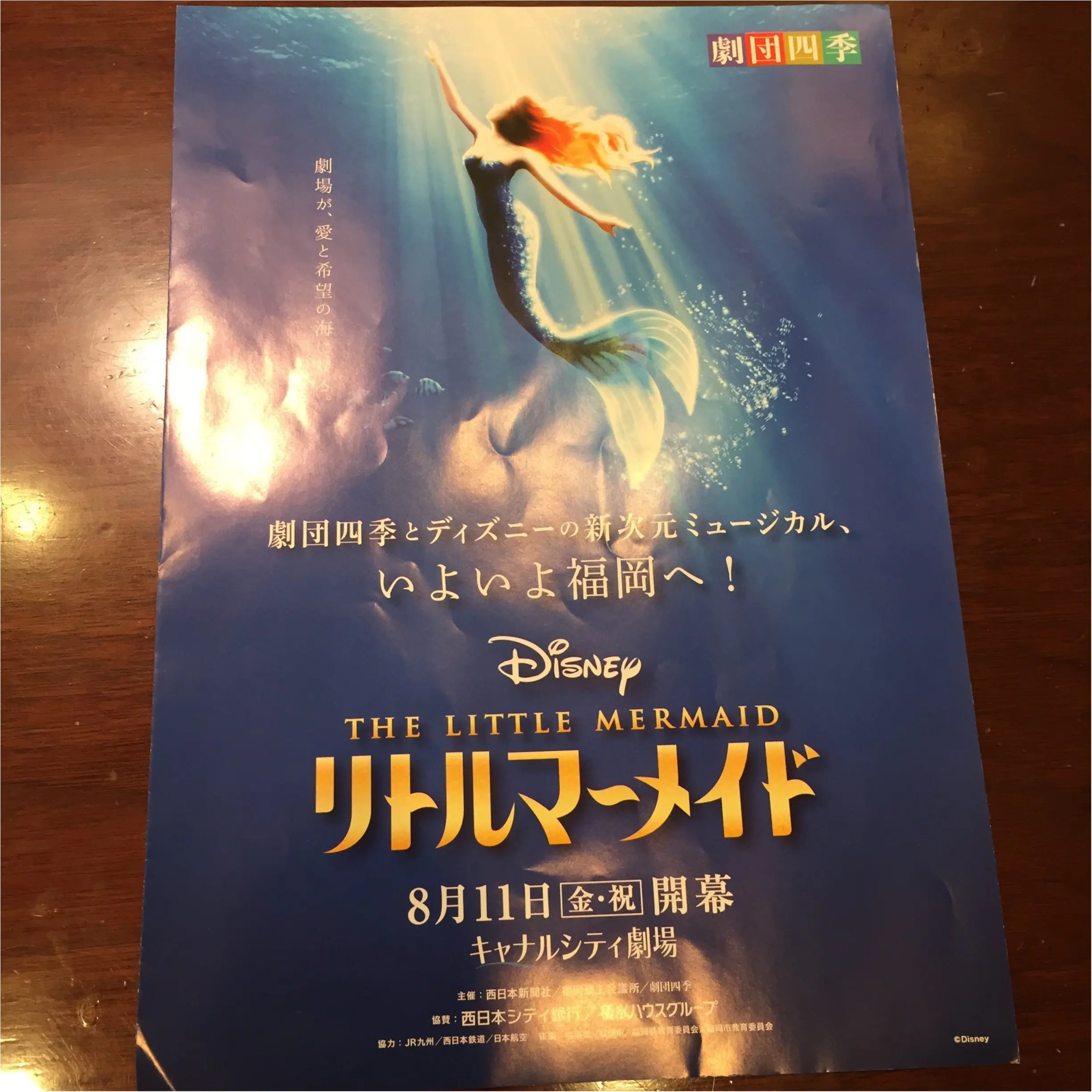 これから開幕!!【劇団四季】気になるミュージカル作品3選☆★_4