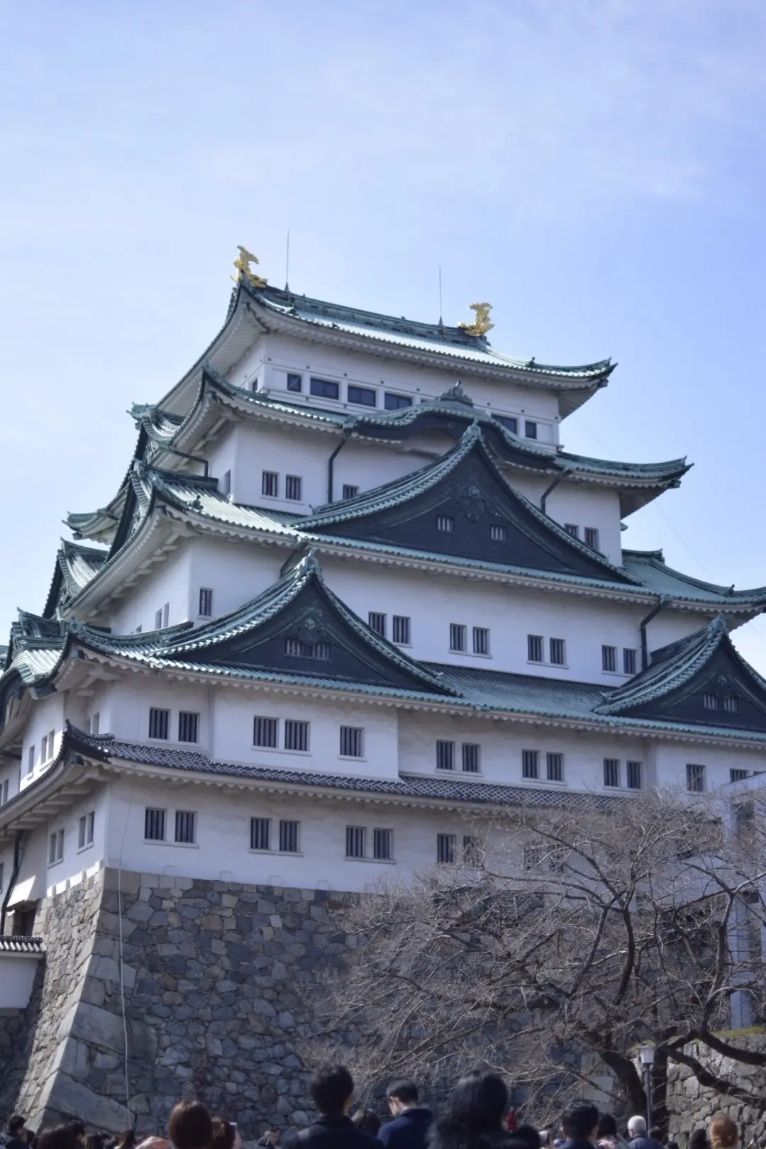 【名古屋】名古屋城でお花見!!名古屋城春まつり【桜】_6