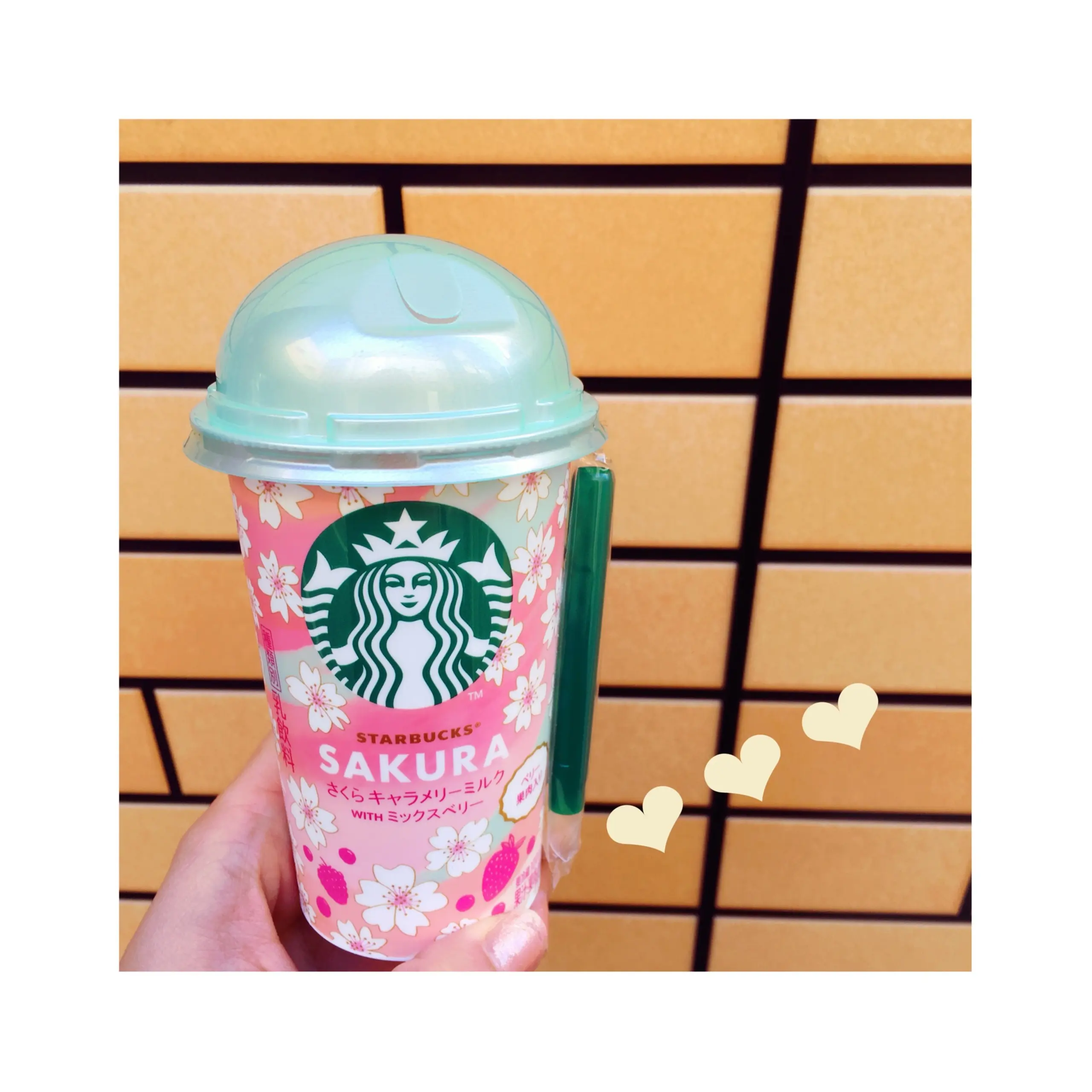 《本日2/13発売★期間限定!》コンビニで買える【スタバ】の新作!〝さくらキャラメリーミルク WITHミックスベリー〟❤️_1