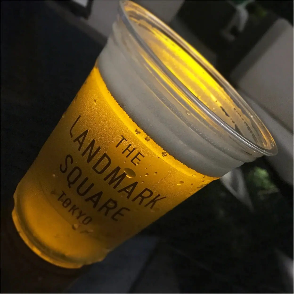 料理も最高♡1ランク上のビアガーデンで優雅なひとときを過ごすなら✨バースデーサプライズにもお薦め♪【THE LANDMARK SQUARE TOKYO】_8