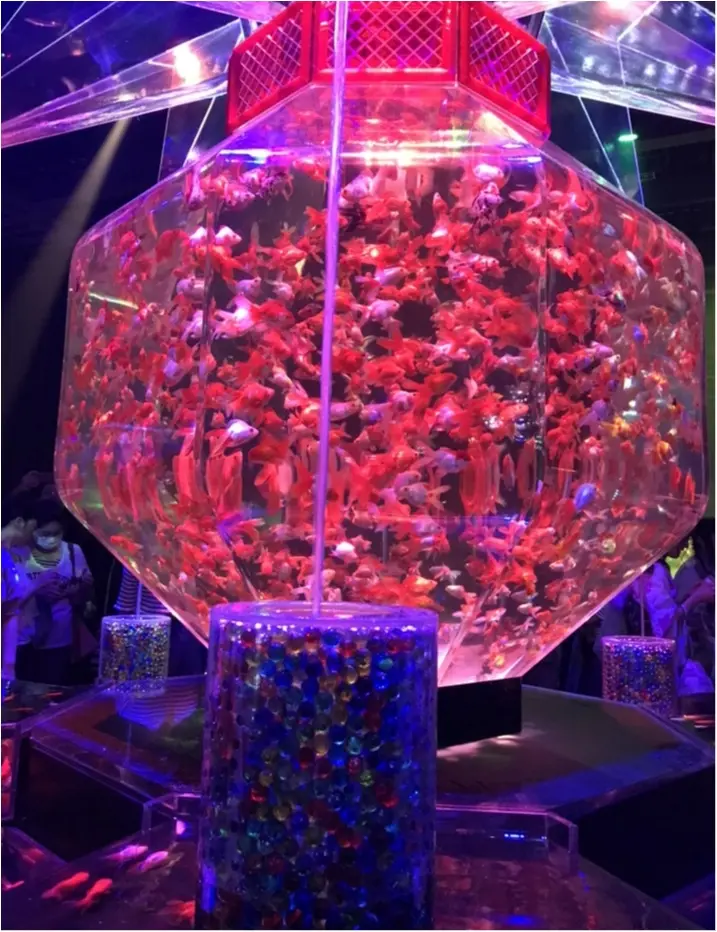 夏の風物詩 金魚のアートアクアリウム【日本橋】_3