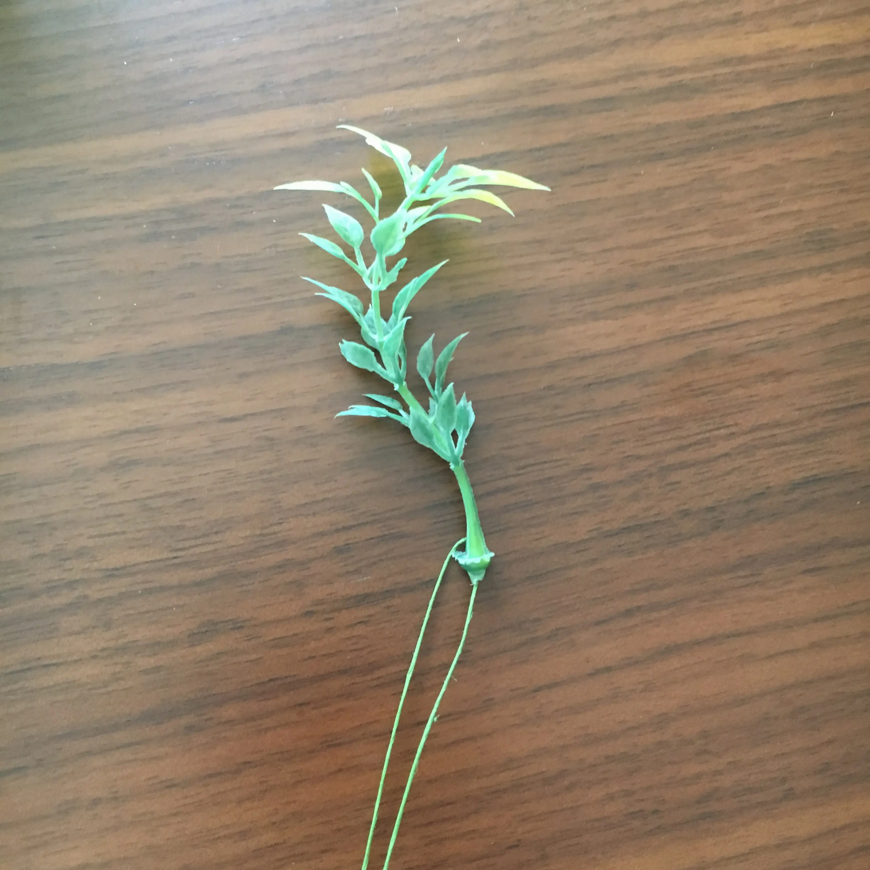 プレ花嫁さんのDIY特集 - ウェルカムボードやリングピローなど結婚式の簡単手作りアイデア集_59